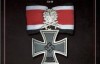 帝国骑士：二战时期德国最高战功勋章获得者全传(第3卷)