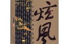《炫风：中国明星城市发展史》作者何建明