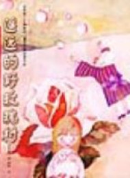 安房直子系列的附录