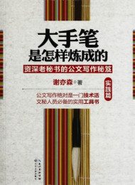 大手笔是怎样炼成的(实践篇) – 谢亦森