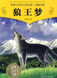 沈石溪合集