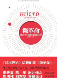 《微革命_微小的创新颠覆世界》作者_ 金错刀