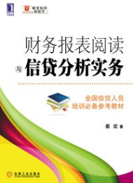 财务报表阅读与信贷分析实务 (财务知识轻松学) 崔宏 机械工业出版社