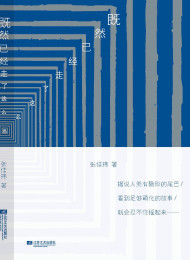 既然已经走了这么远 张佳玮