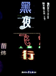 苗炜 – 黑夜飞行